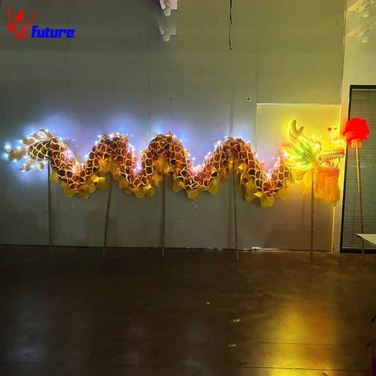 led light Chinese dragon dance