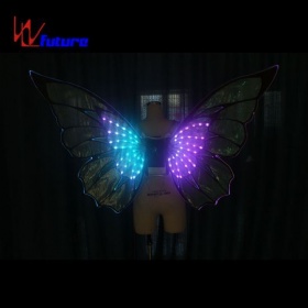 EVA removable luminous wings