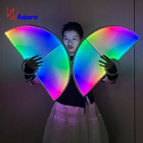 LED light fan