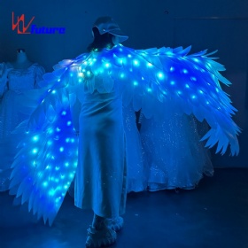 LED glow feather wings