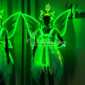 Luminous Butterfly Fairy Dress